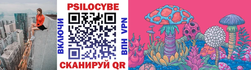 Псилоцибиновые грибы GOLDEN TEACHER  хочу   Новокузнецк 